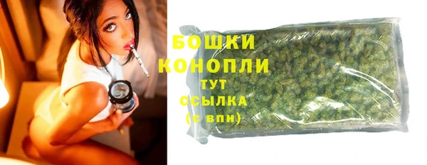PSILOCYBIN Пересвет