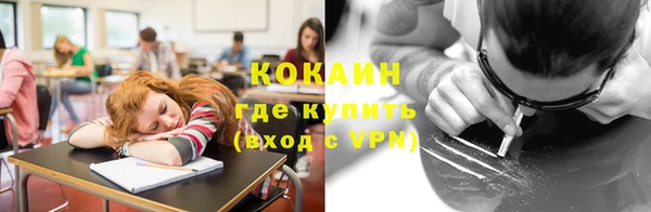 мескалин Бородино
