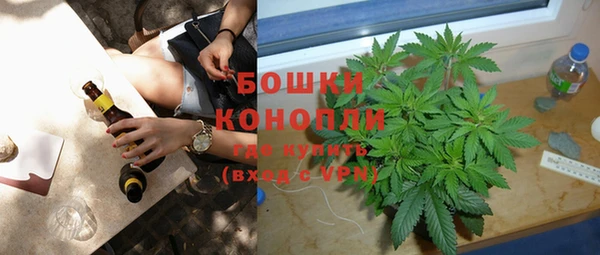 PSILOCYBIN Пересвет